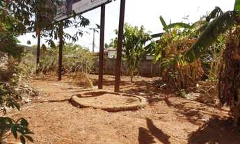 Imagem 6: GOIâNIA - Terreno Padrão - Jardim América