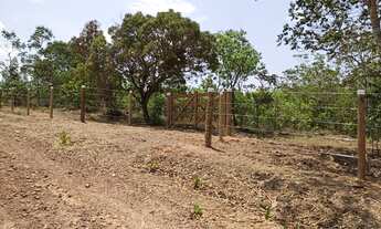 Imagem 2: Chácara 6.700 m2 Córrego Muita Mata Próximo Salto Corumbá de Goiás