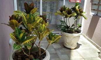 Imagem 3: Apartamento com 2 Dormitorios e Sala em Conceito aberto