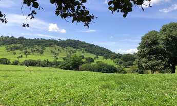 Imagem 2: Oportunidade! Vende-se uma bela fazenda de 18 Alqueires