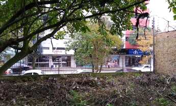 Imagem 4: CAXIAS DO SUL - Terreno Padrão - Centro