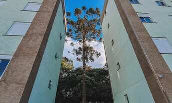 Imagem 2: Apartamento para venda com 60 metros quadrados com 3 quartos, parque araucária - vargem gr