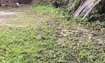 Imagem 7: Terreno em São Vicente