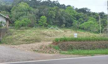 Imagem: Amplo terreno com frente para a BR 116 em