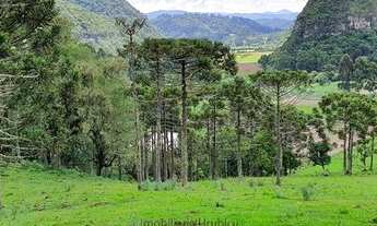 Imagem 7: Imóvel Rural/Terreno Rural