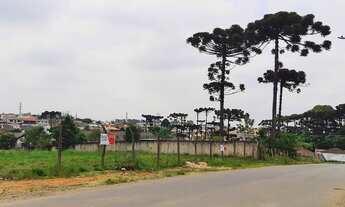 Imagem: TERRENO - TATUQUARA