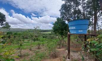 Imagem 3: Chácara a venda em Cocalzinho Condomínio Na beira do corrego Parque das Águas