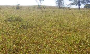 Imagem: Fazenda/Sítio/Chácara para venda possui