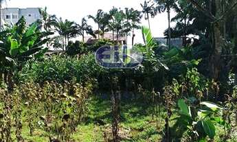 Imagem 3: Terreno quitado Bairro Paranaguamirim Joinville