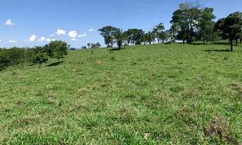 Imagem 7: Oportunidade! Vende-se uma bela fazenda de 18 Alqueires