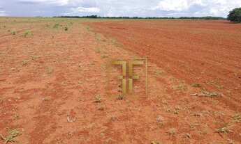 Imagem 4: Fazenda 981 Hectares, Rio Manso, MT