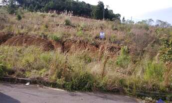 Imagem: TERRENO SÃO LUIS