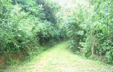 Imagem 3: Sítio à venda, 20000 m² por R$ 250.000,00 - Freguesia da Escada - Guararema/SP