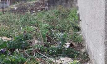 Imagem 7: TERRENO GUARATIBA