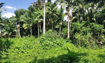 Imagem 4: Terreno à venda, 3464 m² por R$ 2.100.000,00 - Centro (Pirabeiraba) - Joinville/SC