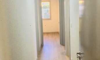 Imagem 7: CAXIAS DO SUL - Padrão - Floresta