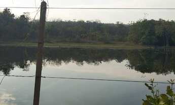 Imagem 7: Fazenda - venda com 375 HC a 35 km de Cuiabá