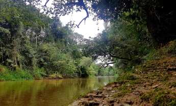 Imagem 6: Sítio - Rancho - Horto em Angatuba - rio Itapetininga