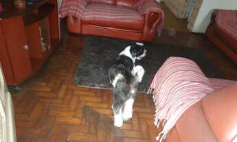 Imagem 7: Casa - Botafogo - Campinas