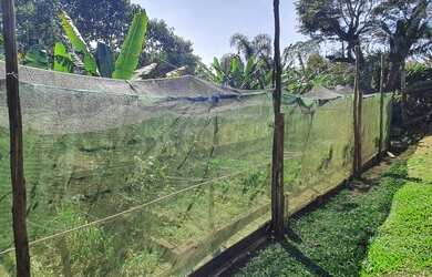 Imagem 4: Vendo linda Chácara em Santa Isabel - Divisa com Arujá