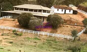 Imagem: FAZENDA 13 HECTARES