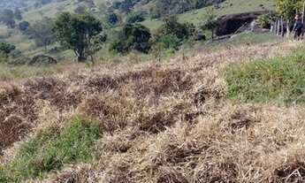 Imagem: TERRENO EM MUNHOZ
