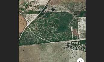 Imagem 2: Área com 10 hectáres em Macaíba na estrada de Vera Cruz - R$200.000,00 whatsapp:9.9416.193