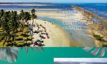 Imagem: CARNEIROS ATLANTICO