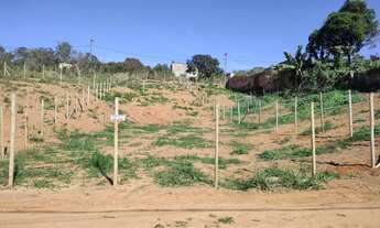 Imagem 3: Lotes em mateus leme com agua e luz