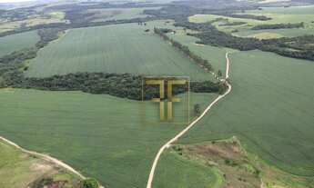 Imagem 6: Fazenda 90 Alqueires, Silvânia, GO