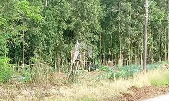 Imagem 5: BENTO GONçALVES - Terreno Padrão - Caminho da Eulália