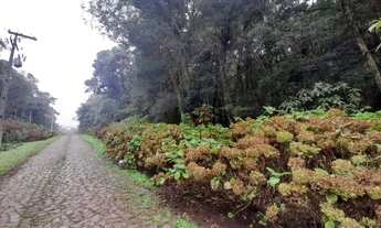 Imagem 4: Terreno no Alpes de São Francisco, em São Francisco de Paula!