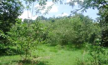 Imagem 7: Terreno industrial à venda, Bairro da Ponte, Itatiba