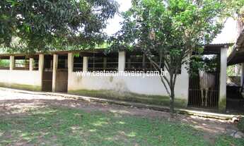 Imagem 2: Caetano Imóveis - Sítio para venda com 10.000 metros quadrados com 5 quartos