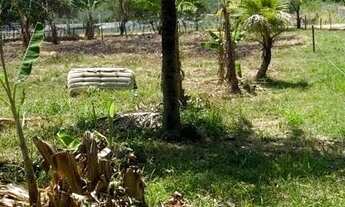 Imagem 3: COD-714 SÍTIO ESTRADA DO TINGUI