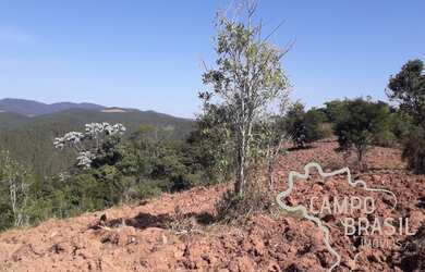 Imagem 5: ÁREA RURAL 5 ALQUEIRES EM JAMBEIRO!