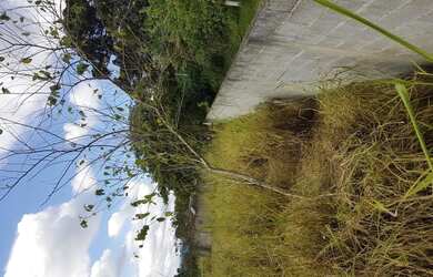 Imagem 5: Terreno no bairro Ipelândia