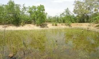 Imagem: Chácara em Acorizal venda R$ 85.000 com