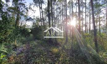 Imagem 4: Área de terras com bela vista no alto de Nova Petrópolis na serra gaúcha