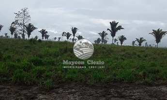 Imagem 5: Alto Paraíso - Fazenda - 65 Alqueires