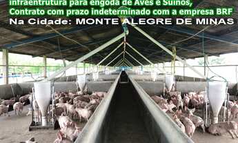 Imagem: FAZENDA EM MONTE ALEGRE DE MINAS