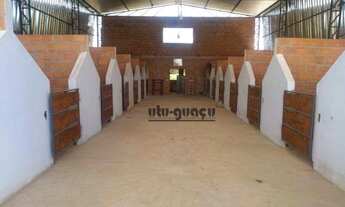 Imagem 2: Haras à venda, 60500 m² por R$ 1.600.000 - Bananal do Avecuia - Porto Feliz/SP