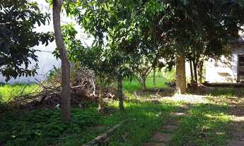 Imagem 6: Porto Alegre - Terreno Padrão - Vila Ipiranga