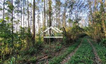 Imagem 3: Área de terras com bela vista no alto de Nova Petrópolis na serra gaúcha