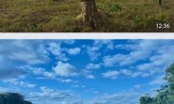 Imagem 3: Oportunidade! Vende-se uma excelente fazenda de 430 Hectares