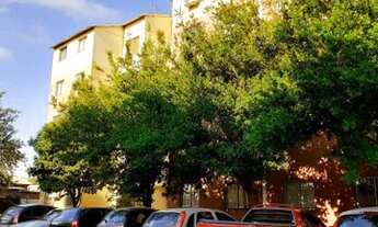 Imagem 7: Canoas - Padrão - Mato Grande