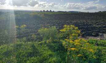 Imagem 2: Sitio com 150.000 m2, ótima localização