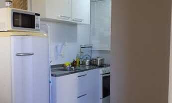 Imagem 3: Canoas - Padrão - Mato Grande