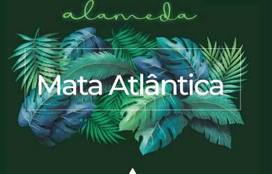 Imagem: Apartamento para venda possui 77 metros