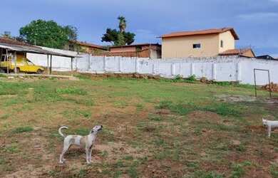 Imagem 6: Terreno de 1800m² na Avenida dos Africanos
